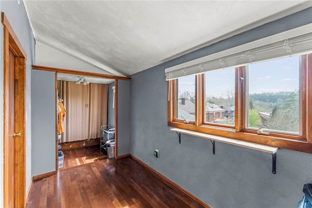 408 N Wade Ave E, Washington Boro, PA 15301 - empty room featuring plenty of natural light, baseboards, lofted ceiling, and dark wood finished floors