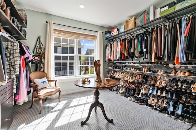 331 Boundary St, Sewickley, PA 15143 - walk in closet featuring carpet flooring