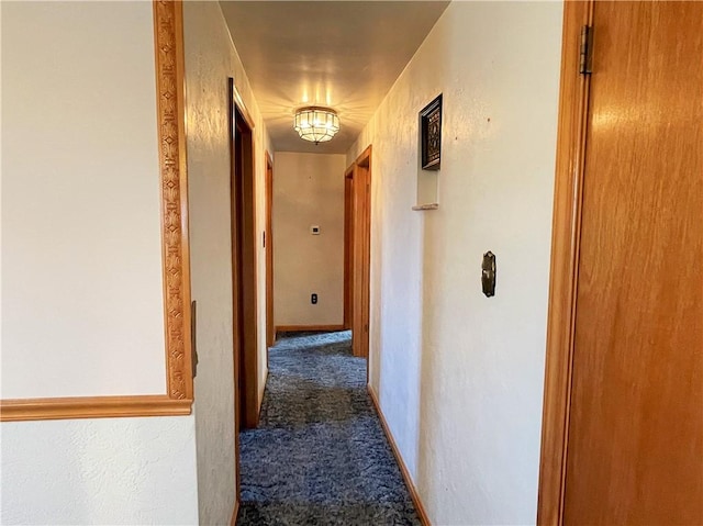 3974 Tuxey Ave, Brentwood, PA 15227 - hall with dark carpet and a textured wall