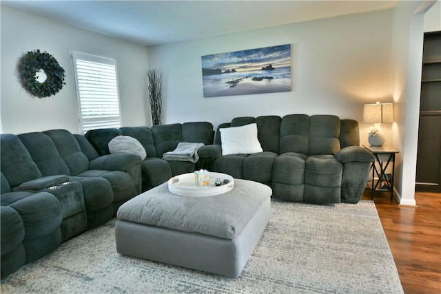 living area with wood finished floors