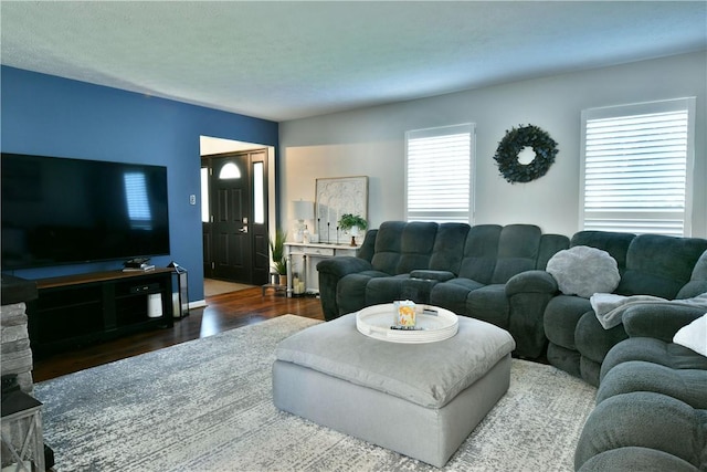 living room featuring wood finished floors