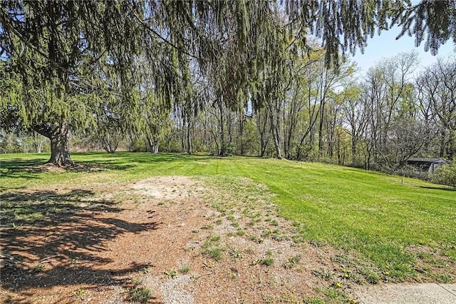view of yard
