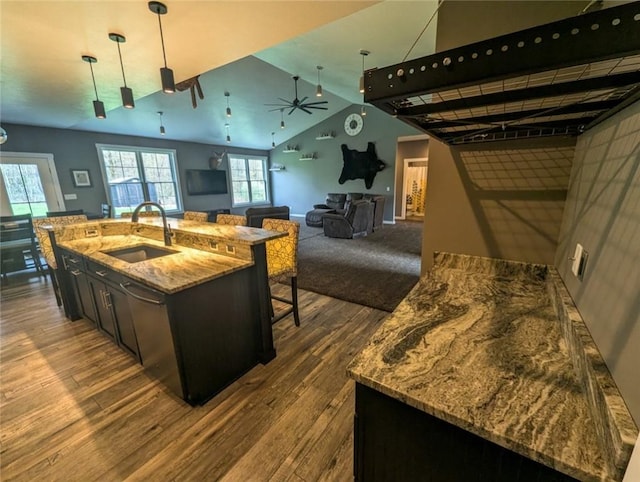 109 Brianna Ln, Oakland Twp, PA 16025 - kitchen featuring light stone countertops, a sink, dark wood-style flooring, a ceiling fan, and open floor plan