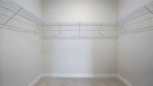spacious closet with carpet flooring