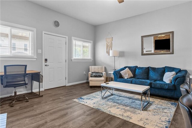 17 Lelia St, Mt Washington, PA 15211 - living room featuring wood finished floors and baseboards