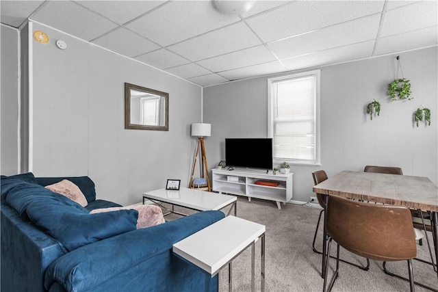 17 Lelia St, Mt Washington, PA 15211 - living area with a paneled ceiling and carpet
