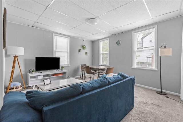 17 Lelia St, Mt Washington, PA 15211 - living area with carpet, a paneled ceiling, and baseboards