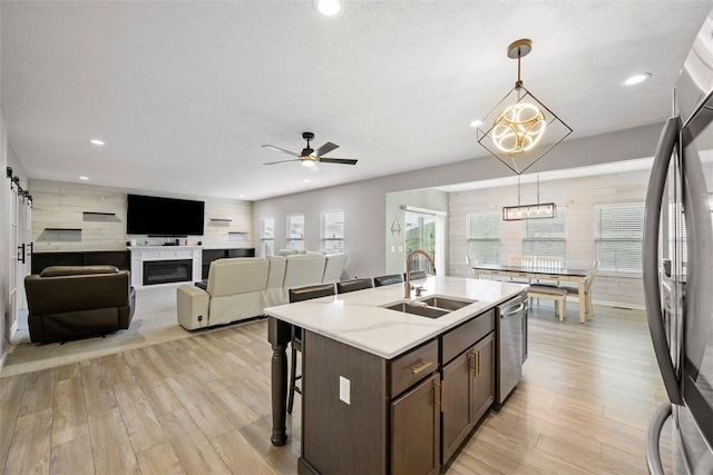 kitchen featuring stainless steel appliances, dark brown cabinets, light wood finished floors, and a sink