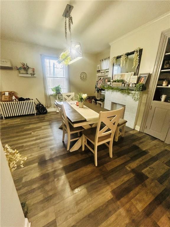 dining room featuring ornamental molding and dark wood finished floors