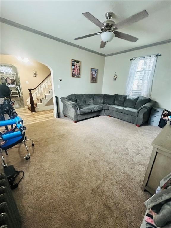 living area with stairway, crown molding, a ceiling fan, carpet, and arched walkways