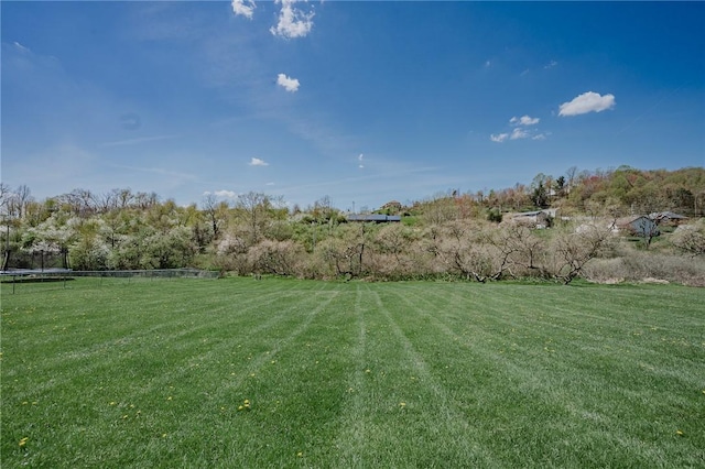 260 N Ben Franklin Rd, White Twp Ind, PA 15701 - photo 18