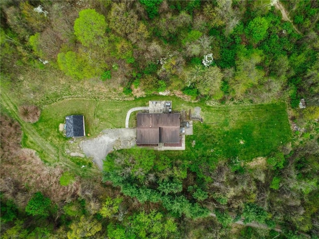 bird's eye view