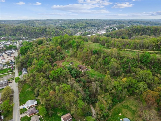 bird's eye view with a forest view
