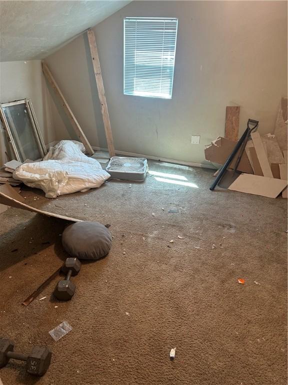 10 Welsh Way S, Side, PA 15203 - interior space featuring carpet and lofted ceiling
