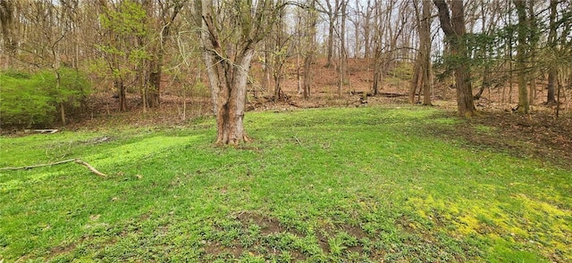1835 Hillside Ave, Ellwood City, PA 16117 - photo 4
