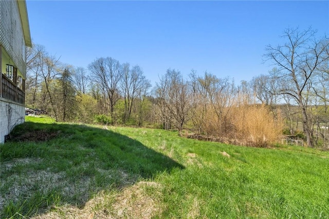 116 Dutchtown Rd, Sewickley Twp, PA 15637 - view of yard