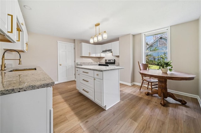 116 Dutchtown Rd, Sewickley Twp, PA 15637 - kitchen featuring a sink, under cabinet range hood, light wood-style floors, stainless steel electric range oven, and baseboards