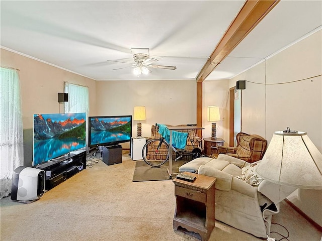 1025 S Lake Rd, Pa, PA 16137 - living area with ceiling fan, carpet, and crown molding