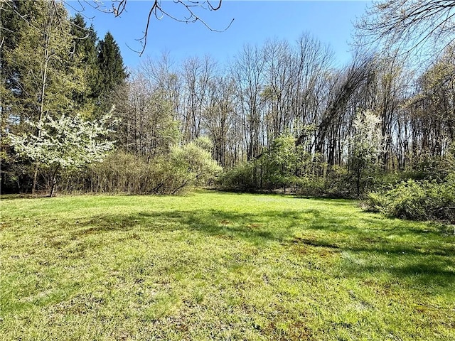 1025 S Lake Rd, Pa, PA 16137 - view of green lawn