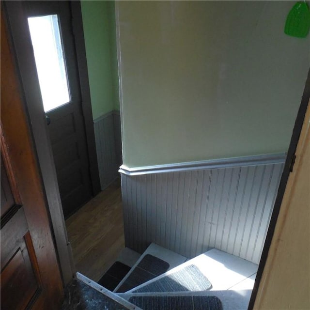 bathroom with a wainscoted wall and wood finished floors