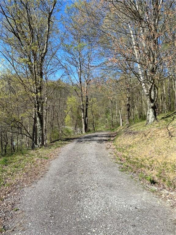 view of street featuring a forest view