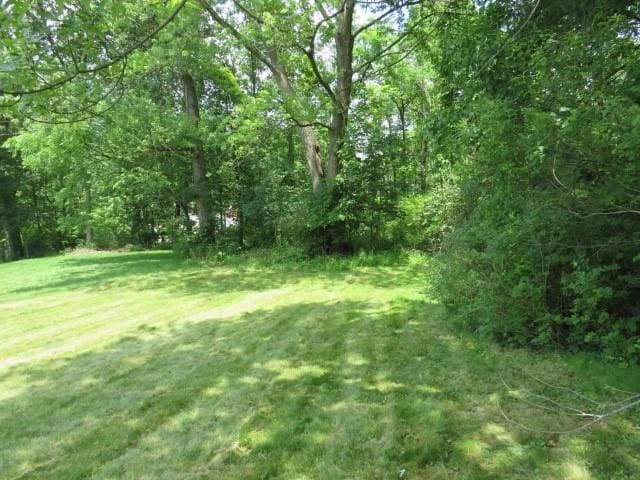 1185 Colgate Dr, Monroeville, PA 15146 - view of green lawn with a view of trees