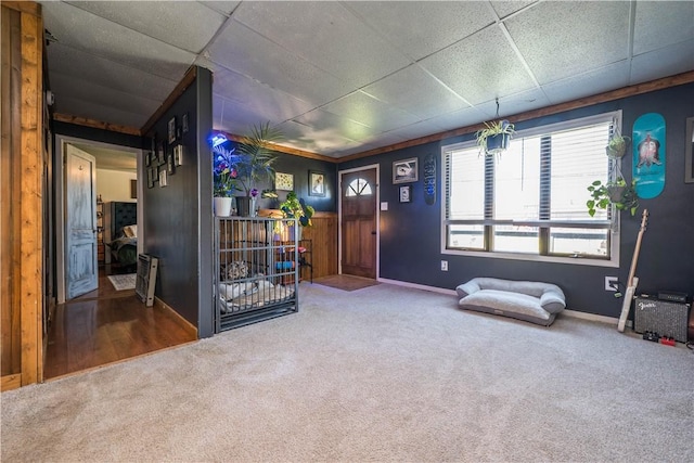 337 Whitestown Rd, Twp Of But Nw, PA 16001 - interior space with a paneled ceiling, carpet flooring, and baseboards