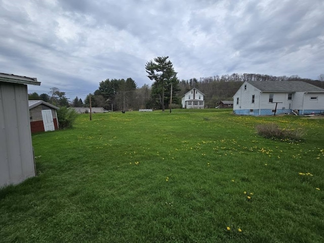 view of yard featuring an outdoor structure and a storage unit