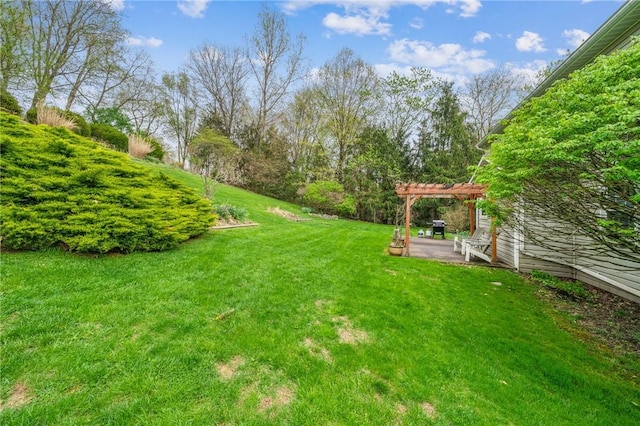 view of yard featuring a pergola and a patio area