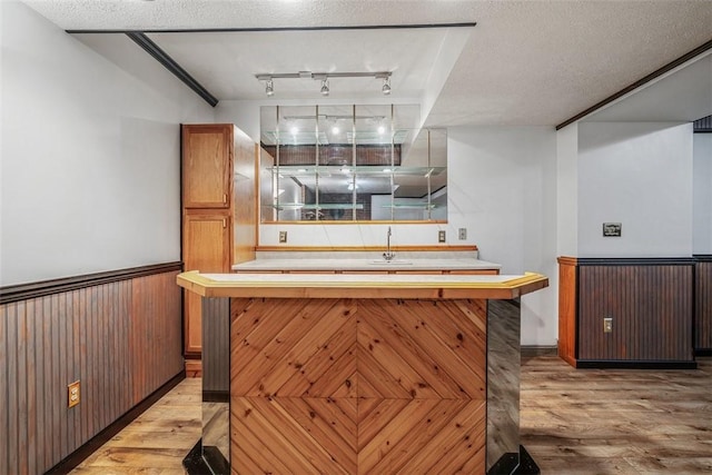kitchen featuring light countertops, a wainscoted wall, and light wood-style floors