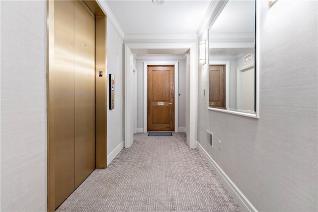 220 N Bellefield Ave Unit 903, Oakland, PA 15213 - hall featuring baseboards, ornamental molding, elevator, and carpet floors