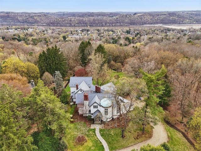 743 Chestnut Rd, Edgeworth, PA 15143 - photo 34