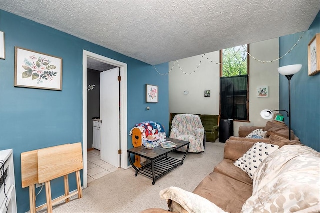 934 W W Rdg, Sharpsville, PA 16150 - living room featuring carpet, a textured ceiling, and tile patterned flooring