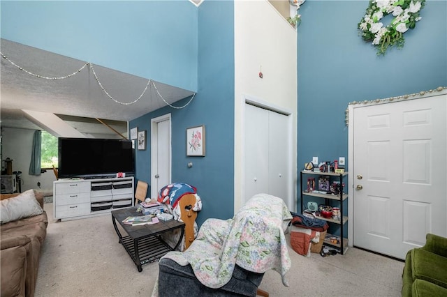 934 W W Rdg, Sharpsville, PA 16150 - living area featuring a towering ceiling and carpet floors