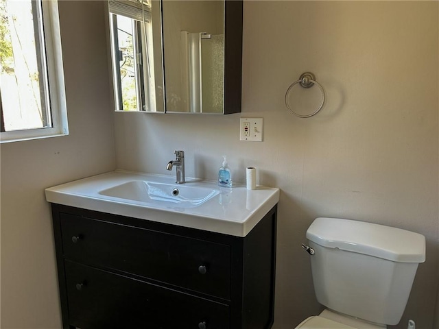 bathroom with toilet and vanity