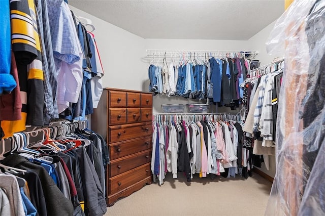 302 Castanea Dr, Cranberry Twp, PA 16066 - walk in closet with carpet flooring