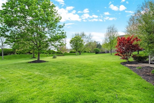 302 Castanea Dr, Cranberry Twp, PA 16066 - view of yard