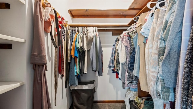 114 Silent Meadow Dr, Washington Twp Wml, PA 15632 - walk in closet featuring carpet floors