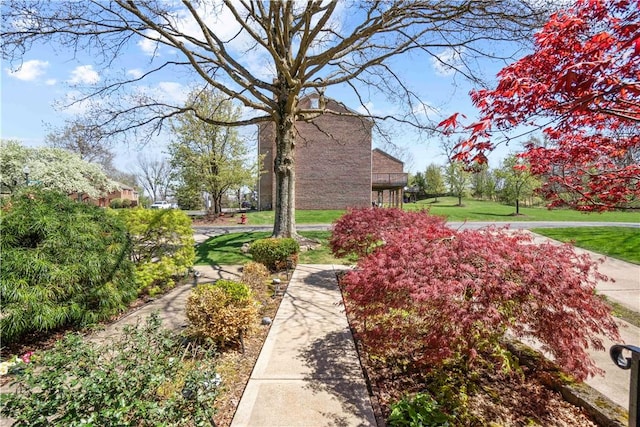 view of home's community with a yard