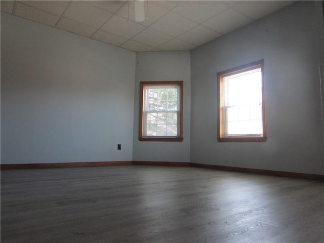 spare room featuring a paneled ceiling, a wealth of natural light, and wood finished floors