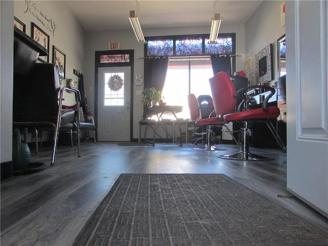 foyer entrance featuring wood finished floors