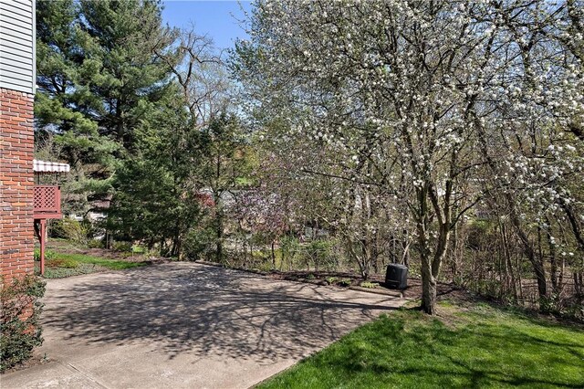 227 Gass Rd, Ross Twp, PA 15229 - view of yard