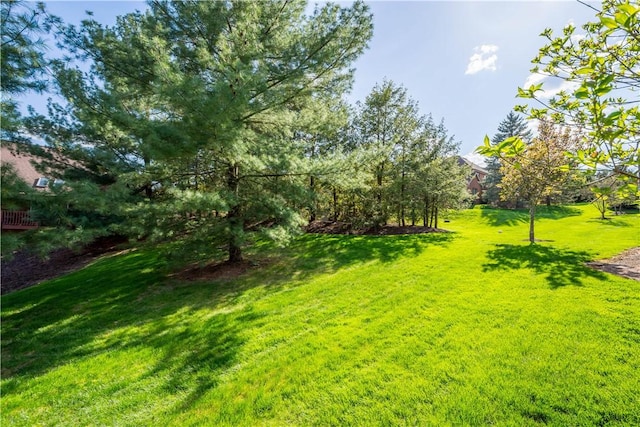 205 Prestonwood Ln, Peters Twp, PA 15317 - view of yard