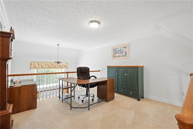 205 Prestonwood Ln, Peters Twp, PA 15317 - office space featuring a textured ceiling, vaulted ceiling, light carpet, and baseboards