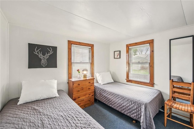 875 Hillside Rd, Jamestown Cra, PA 16134 - bedroom with carpet floors