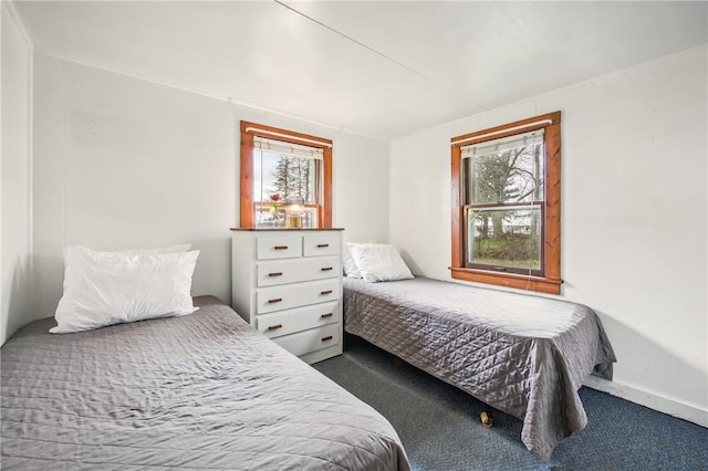 875 Hillside Rd, Jamestown Cra, PA 16134 - view of carpeted bedroom