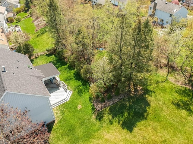 drone / aerial view
