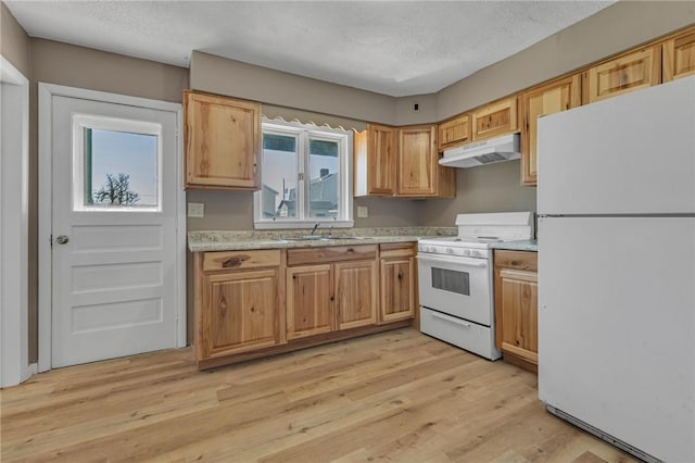 kitchen with white appliances, a textured ceiling, under cabinet range hood, a sink, and light wood finished floors