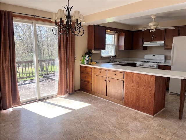 kitchen with a sink, white appliances, light countertops, a peninsula, and under cabinet range hood