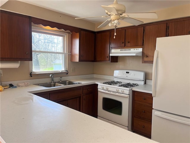 kitchen featuring ceiling fan, a sink, white appliances, light countertops, and under cabinet range hood